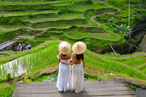 Ubud: Monkey Forest, Water Temple, Rice Terrace & Waterfall Ubud Full Day Tour 8-12 hours