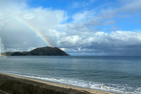 Osaka/Kyoto: Amanohashidate, Ine Bay & Nariaiji Temple Tour From Osaka Meeting Point