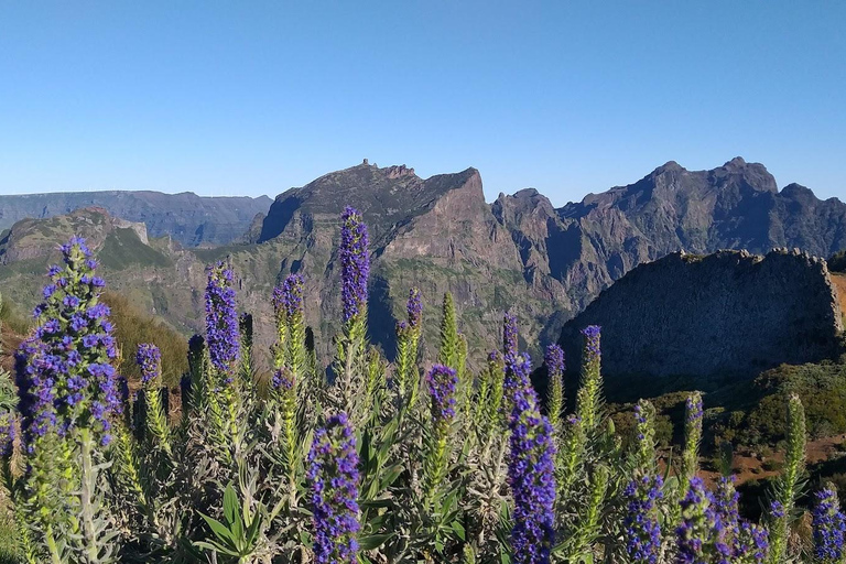 Private Minubus 8 seater