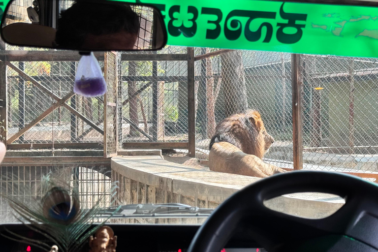 Safari en Jeep por la Vida Salvaje en Bannerghatta con Traslado Privado