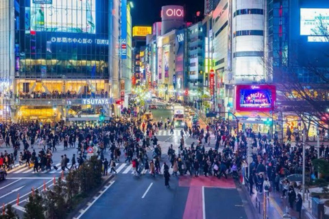 Jednodniowa prywatna wycieczka do Tokio z angielskim przewodnikiem