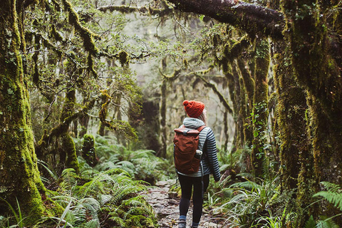 Te Anau: Lake Marian Guided Day Hike with Lunch