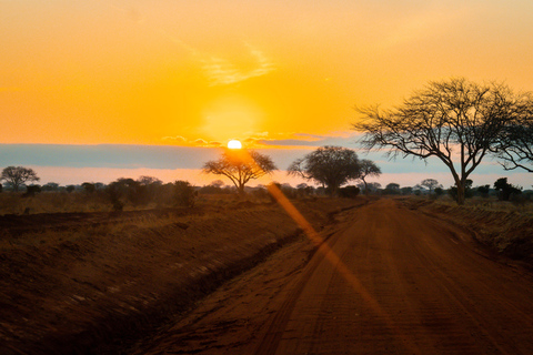 From Diani Beach or Mombasa: 2-Day Tsavo East Safari