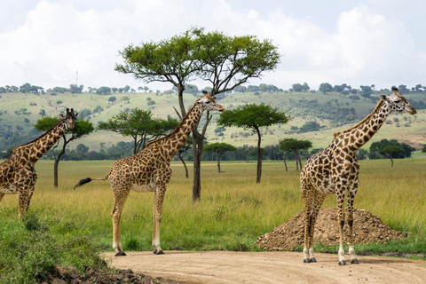 Wild Encounters: Hell&#039;s Gate National Park Adventure