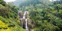 Ramboda, Village Trekking Tour with Authentic Village Lunch! - Housity