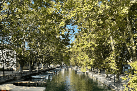 Annecy: Privé wandeltour met een lokale gidsAnnecy: 1 uur privéwandeltour met een lokale gids