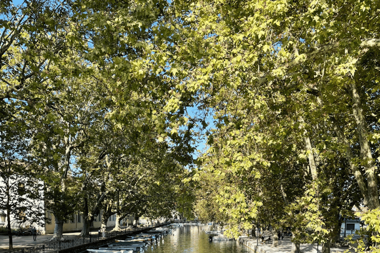 Annecy: Privé wandeltour met een lokale gidsAnnecy: 1 uur privéwandeltour met een lokale gids