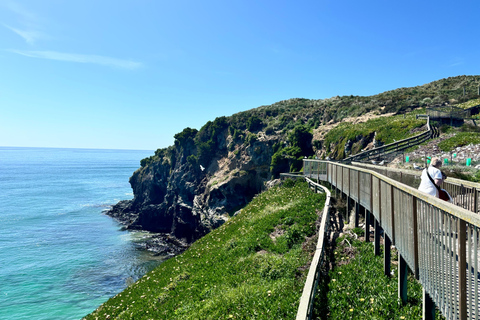 Private Dunedin City Highlights and Otago Peninsula Day Tour Private Dunedin city & Otago Peninsula day Tour (up to 4)