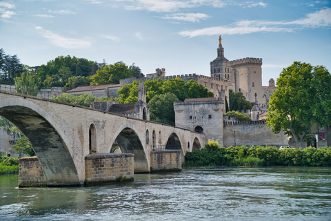 One day excursion to Arles