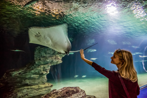 Valencia: Inträdesbiljett till Oceanogràfic