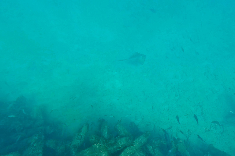 Ft Lauderdale: Combo Deal Snorkel Reefs, Kayak/SUP Mangroves