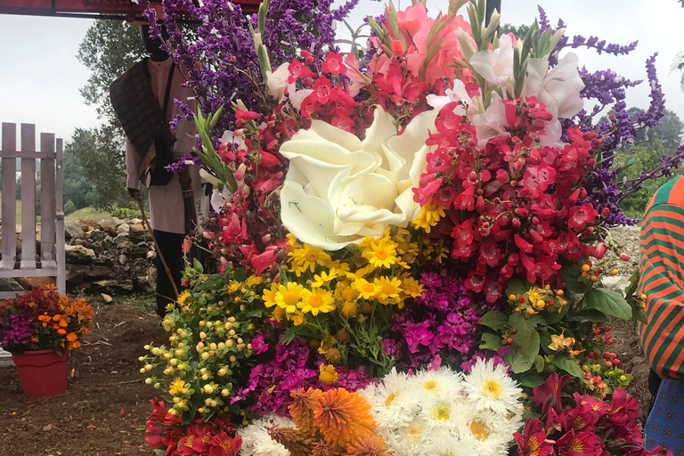 Medellin: Santa Elena Flower Farm i Silletero Wycieczka prywatna