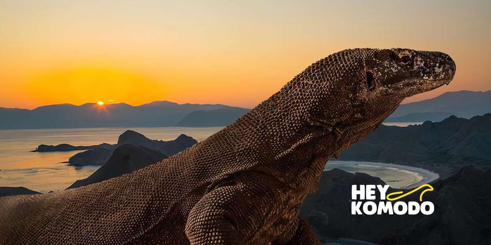 Sharing Half Day Sunset Komodo Tour With Speedboat | GetYourGuide