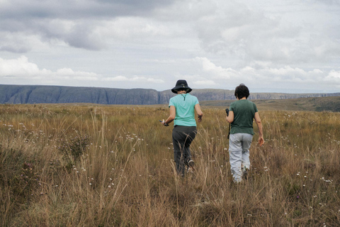 From São Paulo: 5-Day Serra da Canastra Wildlife Safari