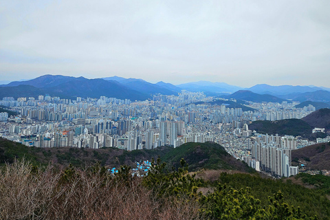 황련산 전망대 야경투어 : 대표적인 부산 야경 GELUIDEN라이빙 코스