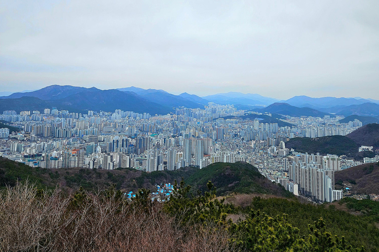 황련산 전망대 야경투어 : 대표적인 부산 야경 드라이빙 코스