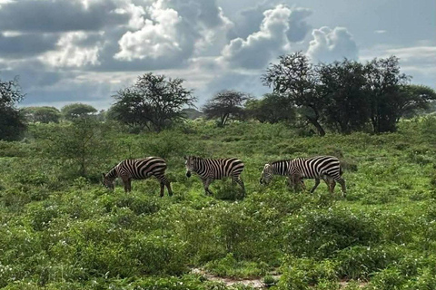 3-Day Safari in Tsavo East, Ngutuni, & Salt Lick – Big Five & Sunset Views 3-Day Safari in Tsavo East, Ngutuni & Salt Lick – Big Five & Sunset Views