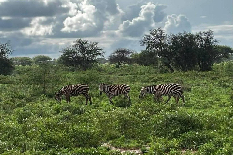 3-Day Safari in Tsavo East, Ngutuni, & Salt Lick – Big Five & Sunset Views 3-Day Safari in Tsavo East, Ngutuni & Salt Lick – Big Five & Sunset Views
