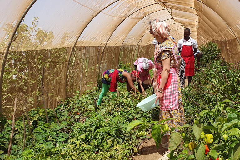 Assomada: wycieczka po farmie z lunchem i lekcją gotowania