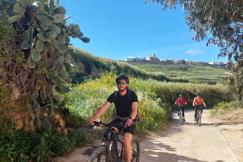 Gozo: E-Bike Guided Tour