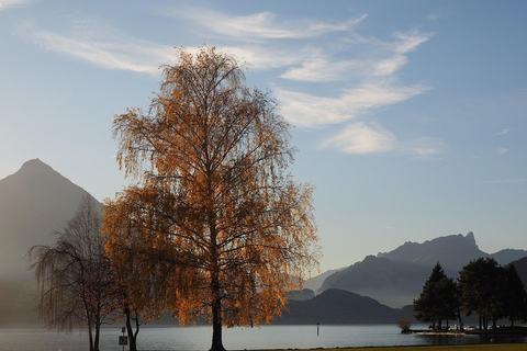 Tour privado de un día de Lucerna a Interlaken y Grindelwald