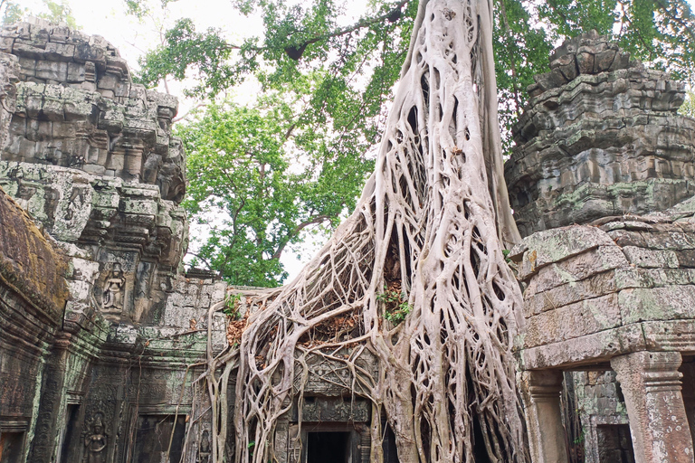 Lever de soleil à Angkor Wat avec un groupe de partage