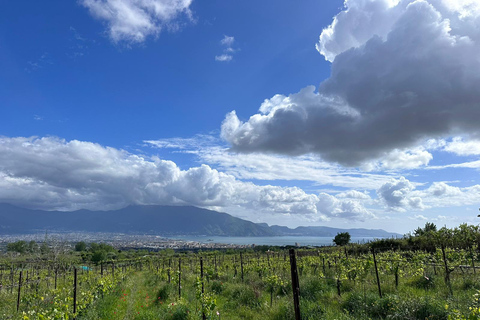 Passeio a cavalo no Monte VesúvioDe Pompéia: Passeio a cavalo pelo Monte Vesúvio