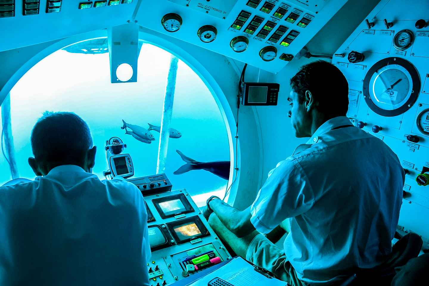 Inmersión en Submarino de 50 Minutos en el Sur de Tenerife