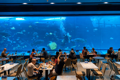 Cebu: Ocean Magic & Anjo World Family Escape