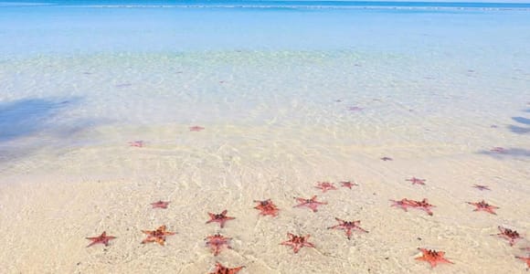 North Phu Quoc Discovery Private Tour