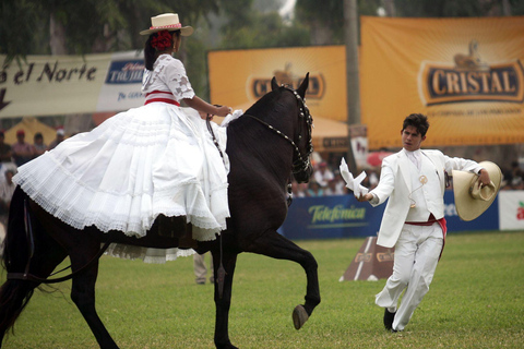 Desde Trujillo | Espectáculo de Marinera con caballos peruanos de paso