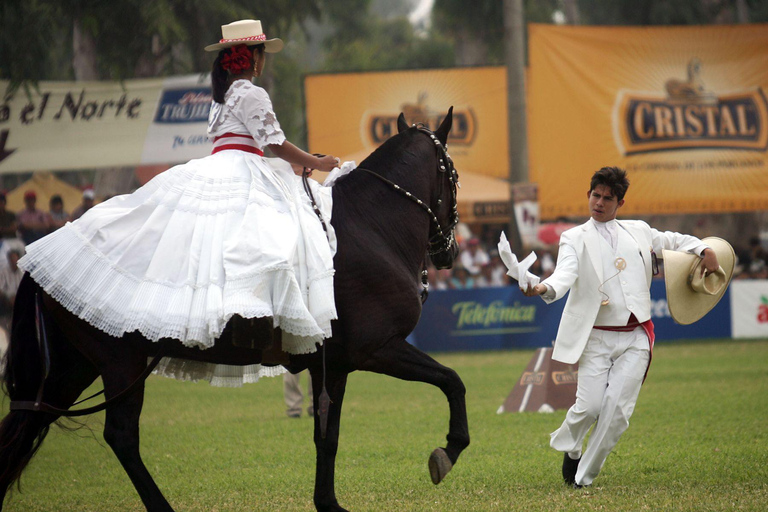 Desde Trujillo | Espectáculo de Marinera con caballos peruanos de paso