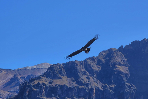 From Arequipa: 3-Day Tour to Colca Canyon and Lake Titicaca