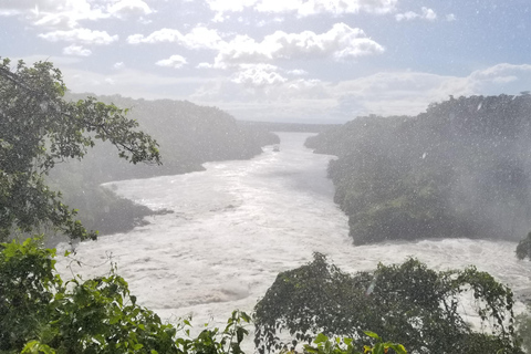 Au départ de Kampala : Safari de 3 jours aux chutes Murchison avec randonnée des rhinocéros