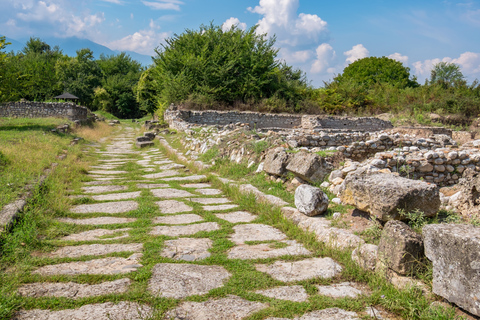 Da Atene: Tour guidato di un giorno al Parco Nazionale del Monte Olimpo