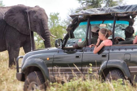 Safari Serenity: Utforska Tarangire nationalpark på en dag