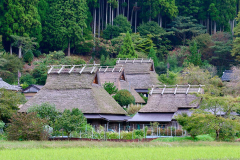 Kyoto/Osaka: Amanohashidate & Ine Funaya & Miyama Day Tour Cable Car & Ine Bay Cruise Excluded | Osaka 7:30AM