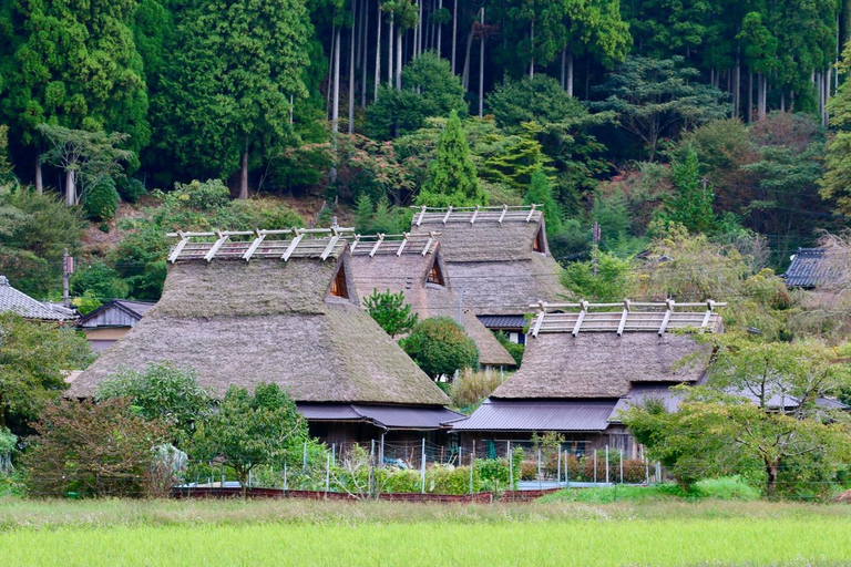 Kyoto/Osaka: Amanohashidate & Ine Funaya & Miyama Day Tour Cable Car & Ine Bay Cruise Excluded | Osaka 7:30AM