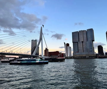 Rotterdam: Waterbus Ticket to Dordrecht and/or Kinderdijk