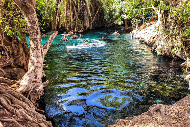 Moshi: Chemka Hot Springs and Local BBQ Picnic Tour