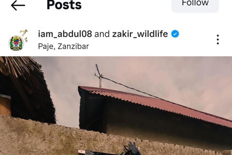 ZANZIBAR: Zakir Wildlife Park Feeding Giraffes, Zebra & More THIS OPTION FOR GUESTS STAYING FAR FROM SOUTH COAST AREAS
