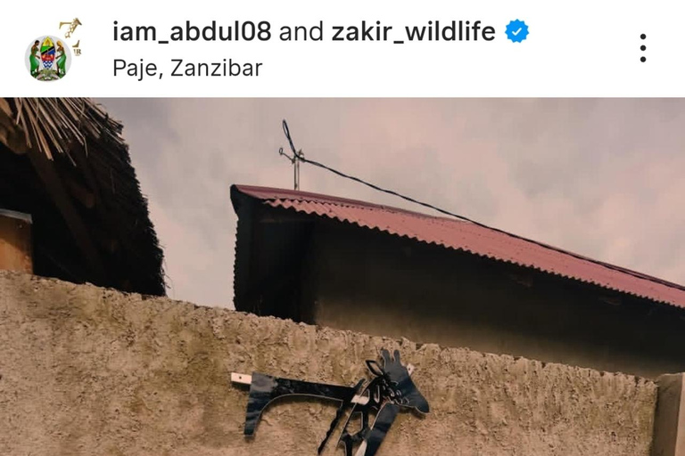 ZANZIBAR: Zakir Wildlife Park Feeding Giraffes, Zebra & More THIS OPTION FOR GUESTS STAYING FAR FROM SOUTH COAST AREAS