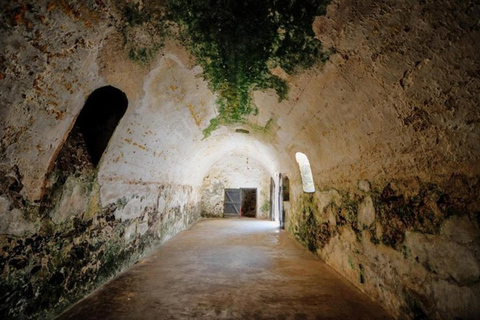 The Return of the Diaspora