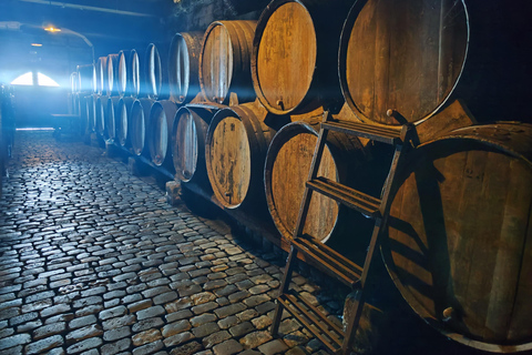 Visit and tasting in La Rioja wineries: Architecture, History and Wine Architecture and wine, and hidden wineries in RIOJA