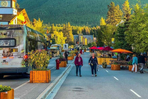 Banff Gondola, Lake Louise, Emerald Lake &amp; 3 prachtige meren