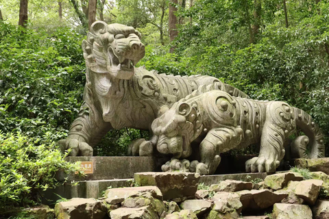 Hangzhou Hupao Park & Mountain Coffee Experience