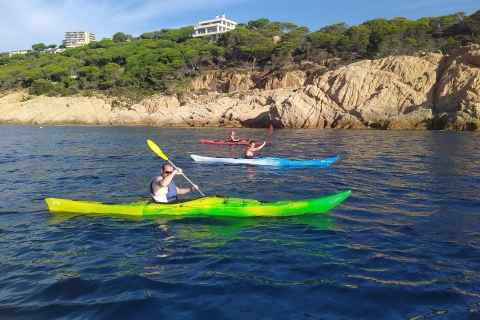 Girona: Morning Guided Kayak Tour Matutina Kayak