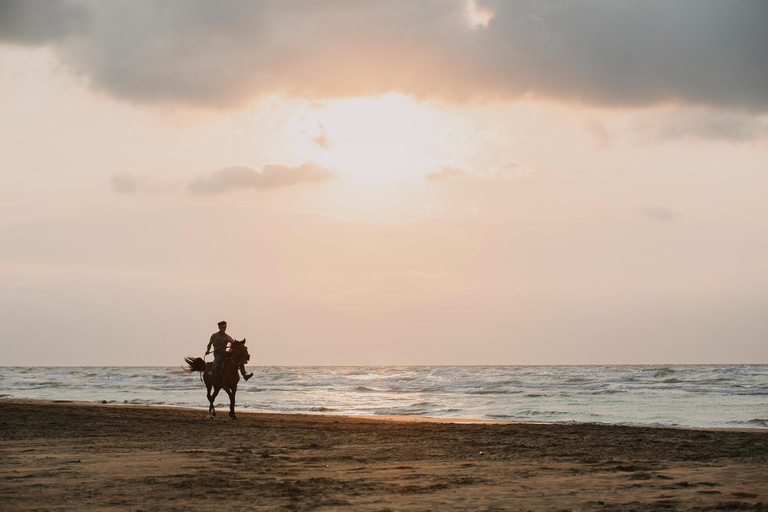 Paphos: Sea Caves Intermediate Horseback Ride