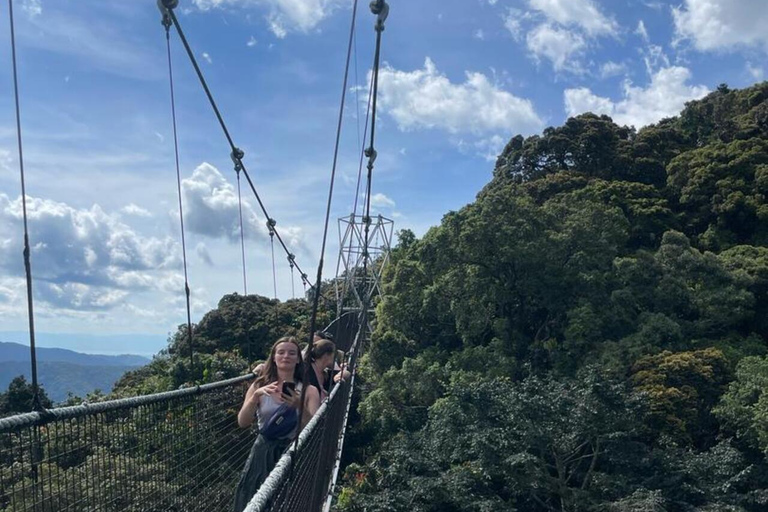 Kigali: 3-Day Culture, Canopy & Waterfalls Safari Tour