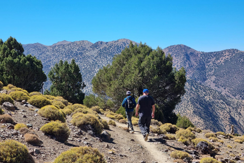 Frome Marrakech: Excursión de un día a la cumbre del Tedli en el Atlas